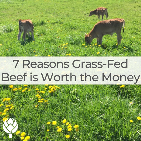 7 Reasons Grass-fed Beef is Worth the Money - Lily Nichols RDN