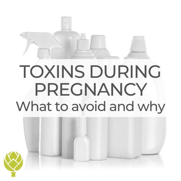 Toxins During Pregnancy: What to avoid and why