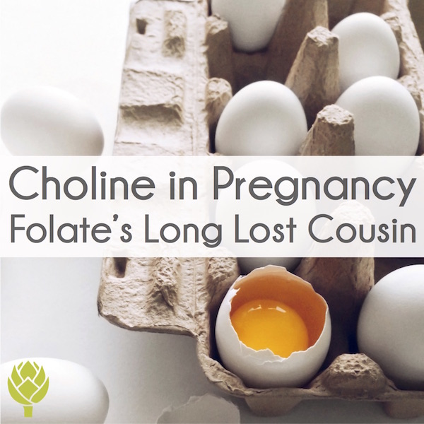 Choline in Pregnancy Folate's Long Lost Cousin