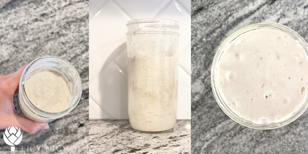 Sourdough starter before and after feeding