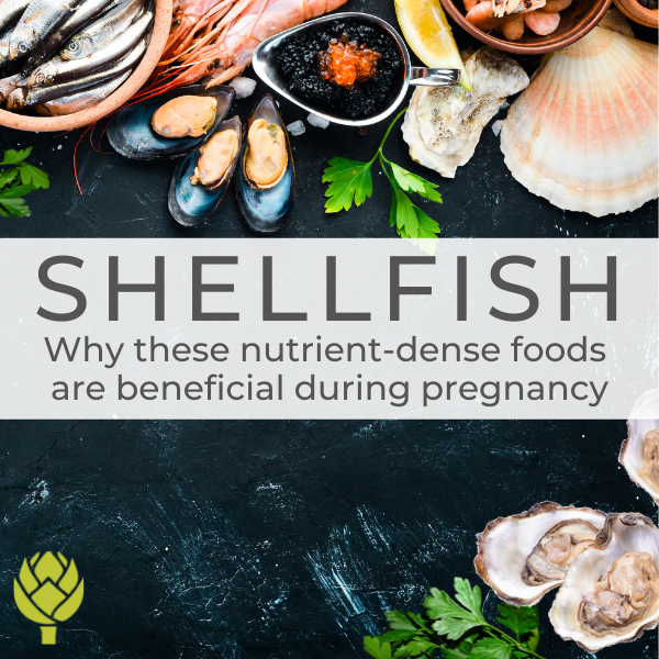 Shellfish: Why these nutrient-dense foods are beneficial during pregnancy