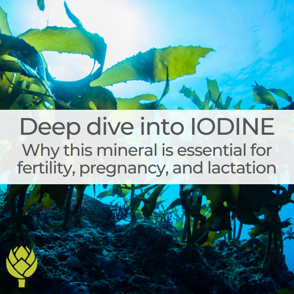 Iodine: Why this mineral is essential for fertility, pregnancy, and lactation